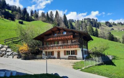 Einmalige Gelegenheit