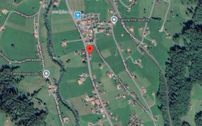 Sind Sie auf der Suche nach einer heimeligen Wohnung? Wir haben die Lösung!